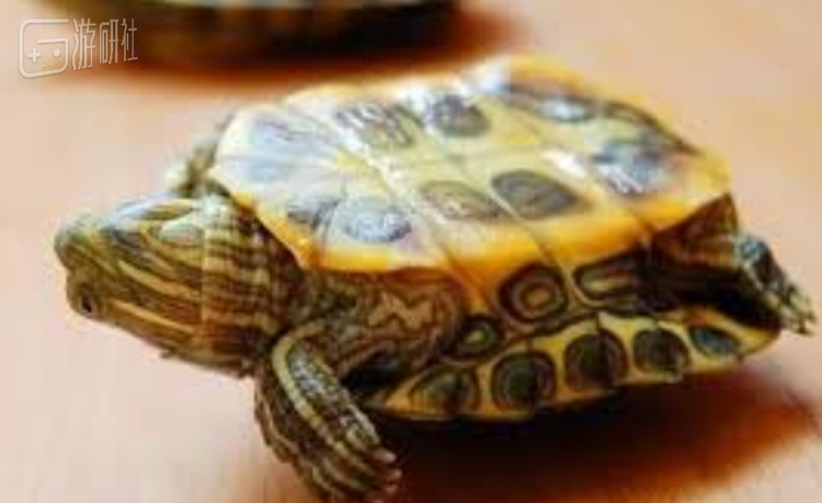 当时它就是这样的姿势