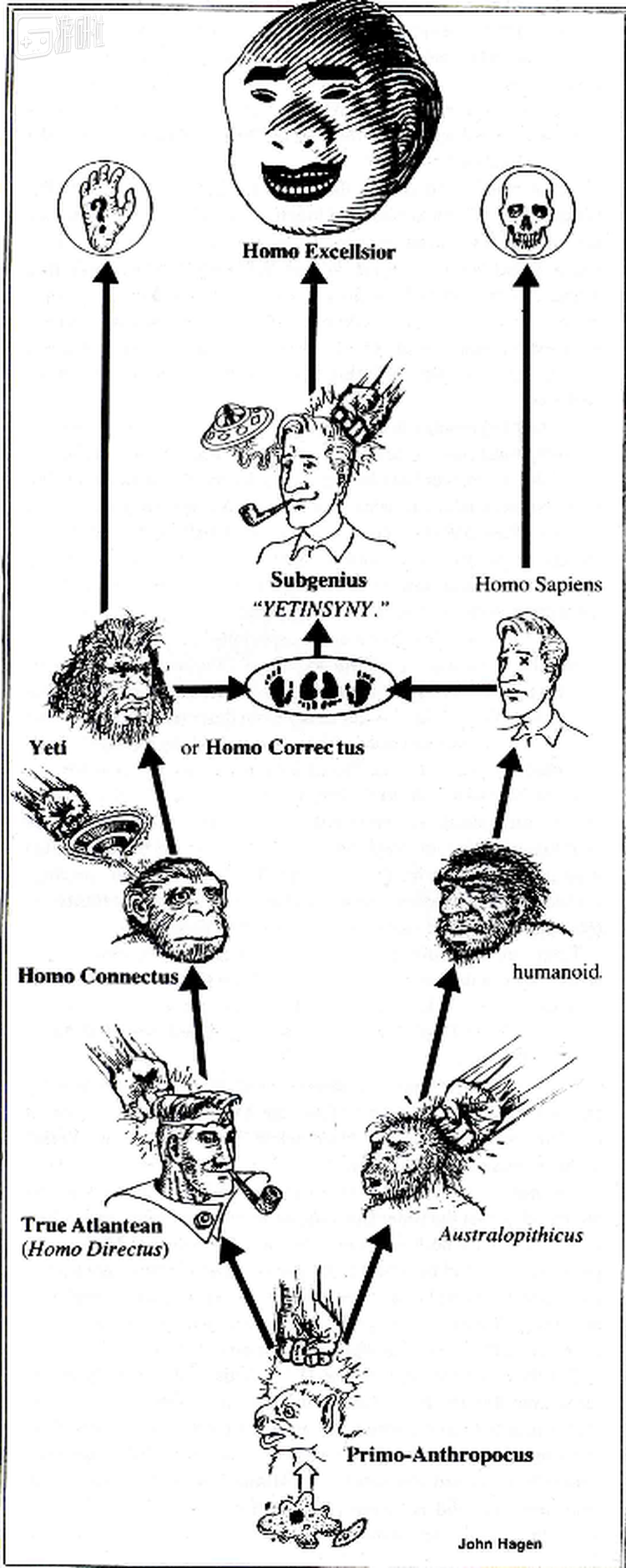 “摸鱼教”进化论，顶端是“超绝人”（Homo Excellsior），另外根据这个理论，“亚天才”是智人和雪山大脚怪的后裔
