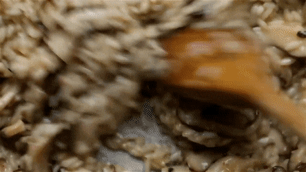 其貌不扬的意大利调味饭