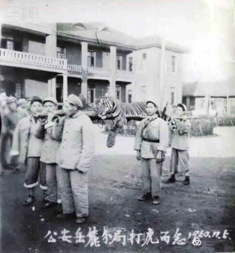 湖南岳麓打虎留念