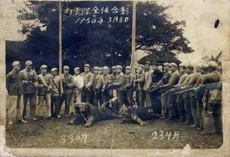 1956年贵州榕江县的打虎队