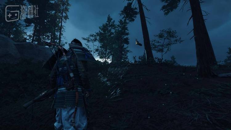 跟随金鸟引路完成各种任务将使玩家逐渐成长