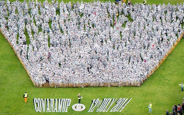 最多人扮牛 澳大利亚 