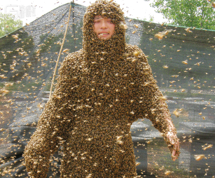 江西的阮良明，上升赤膊下身短裤。将重量为26.8千克的意大利蜂抖落在身上，持续十分钟