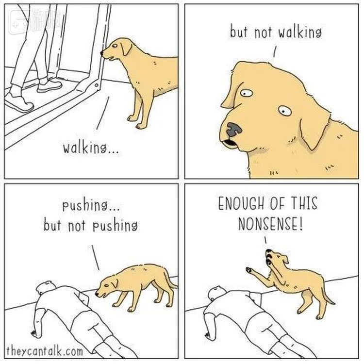 狗：你说这是图啥呢