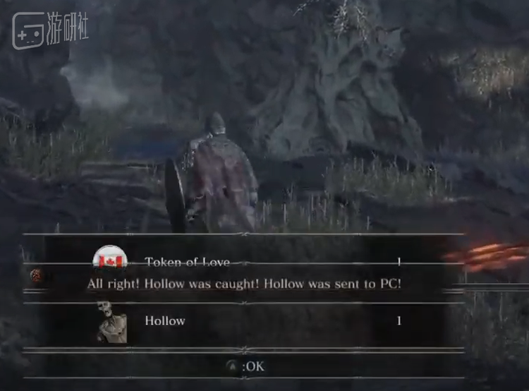 新的魂可梦捕捉成功！它已经被传送到你的电脑里了！