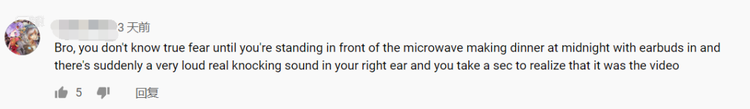 “兄弟，当你午夜戴着耳机站在微波炉前做饭，你右耳突然传来响亮的敲门声，而你花了一秒钟时间意识到那时视频里的声音时，你才知道什么是恐惧！”