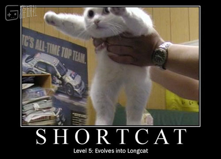 短猫进化可变成长猫