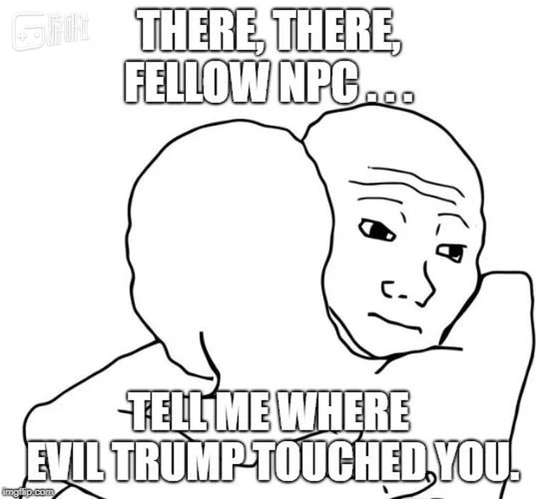 “来吧，我的NPC同胞…告诉我那个恶毒的特朗普碰着你哪儿了。”