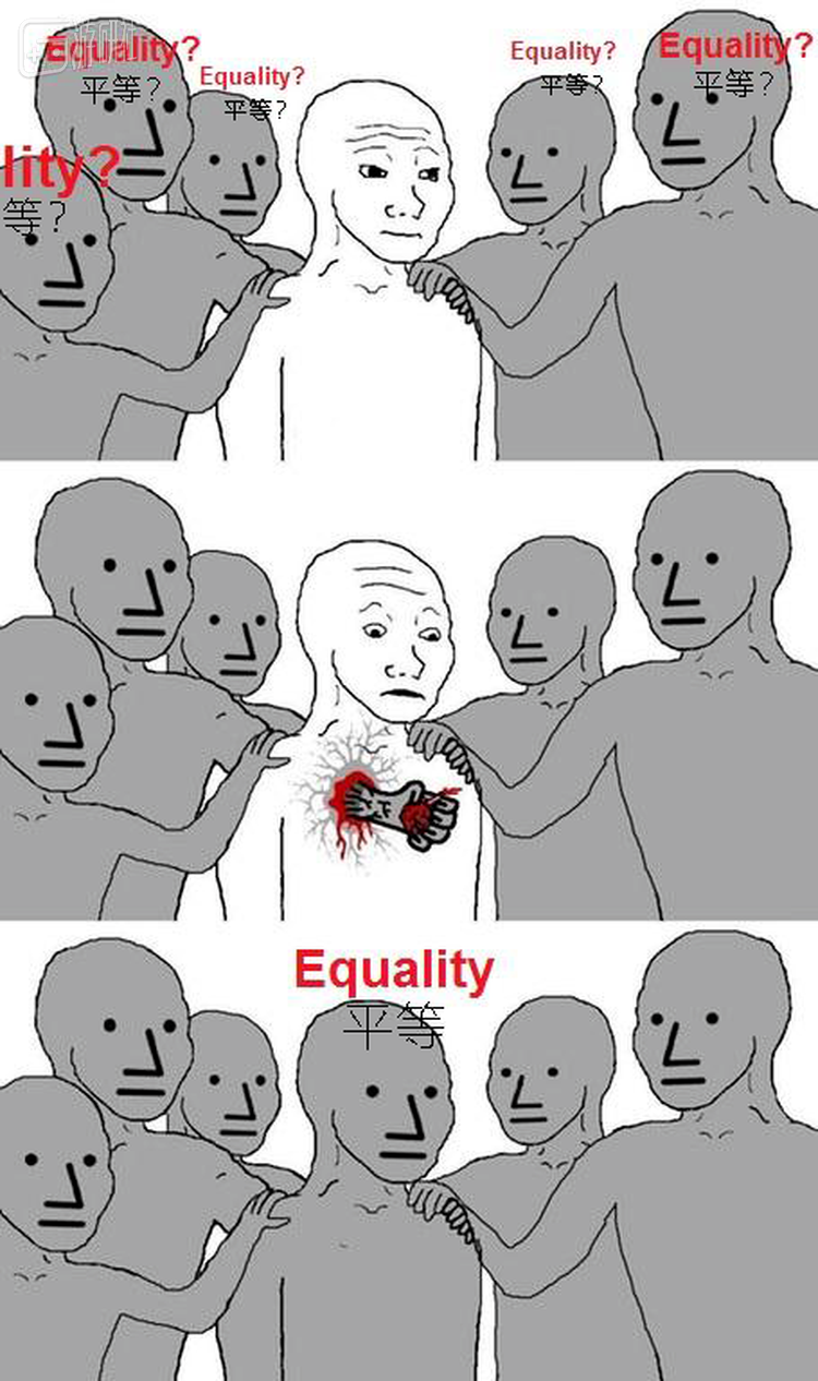 《一个NPC的诞生：平等噩梦》