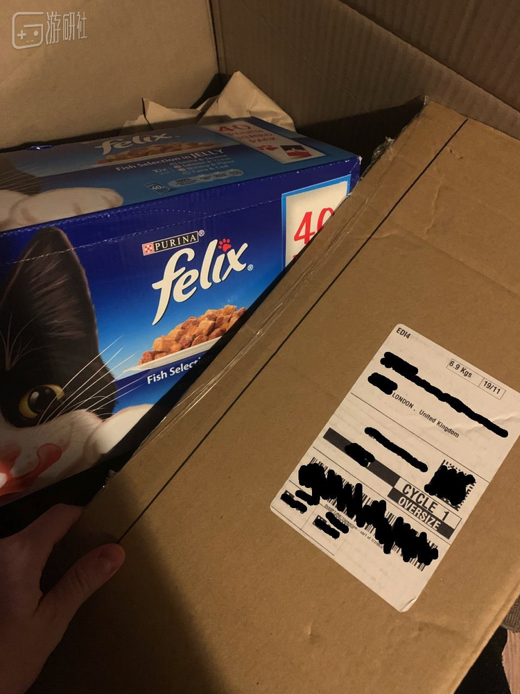 家里没猫就更惨了