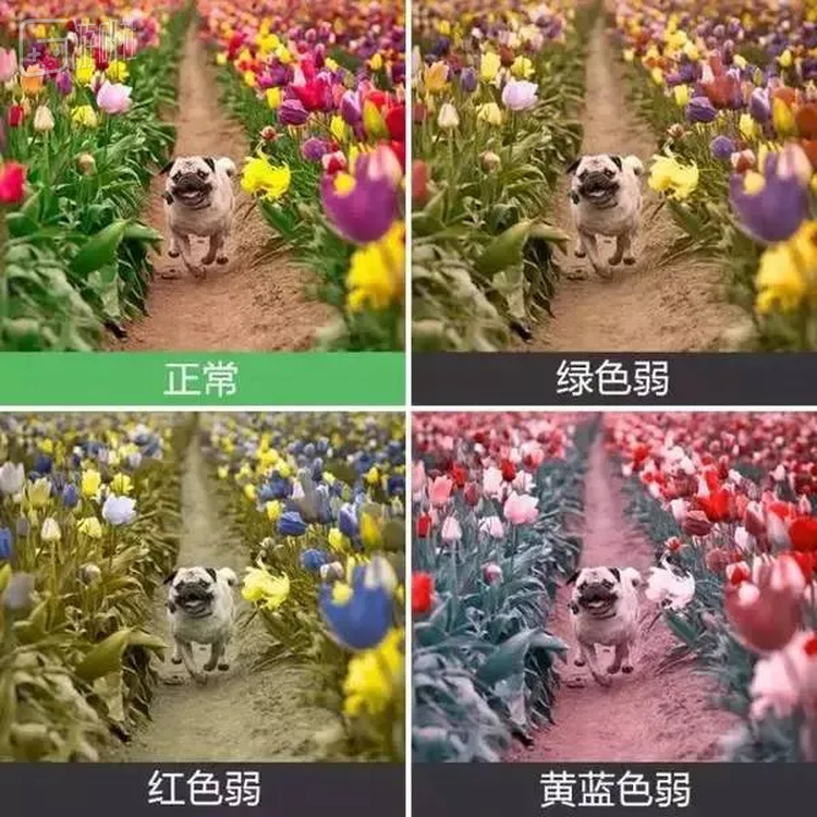 这类图描述并不准确