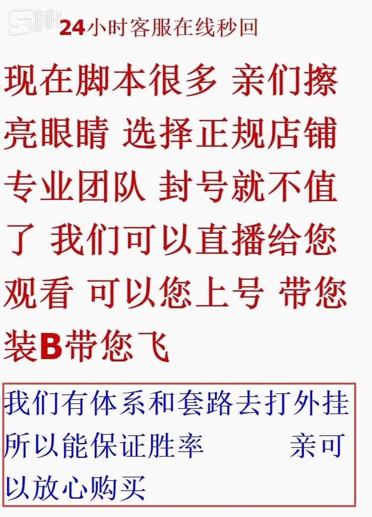 代练商家的产品说明截图