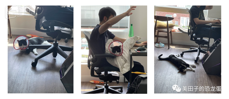 Rascal可能才是真正的Moncage诞生的见证者