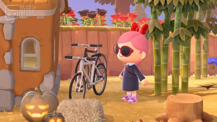 只能摆着的自行车