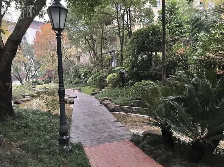 基地外的小区环境