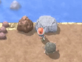 “训练师又下海啦”