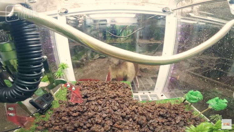 正在操纵机械臂的大树