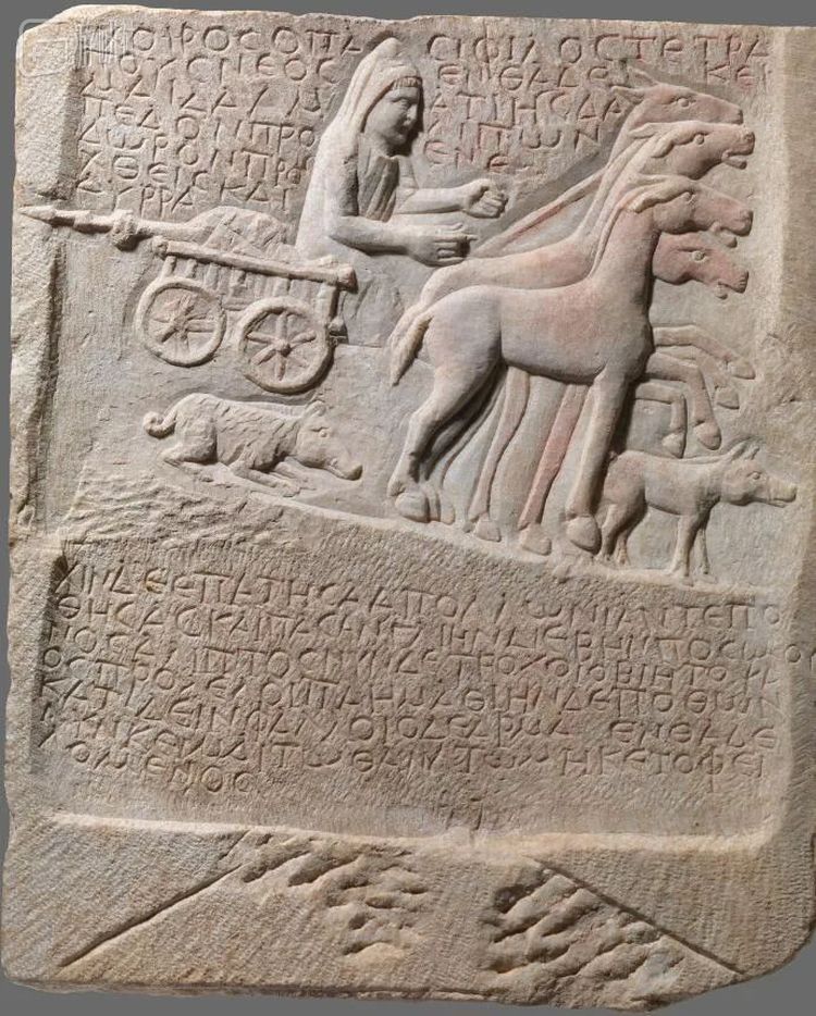 “这头猪，一只被所有人喜爱的年轻四足动物”