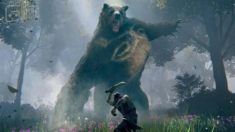 就是这种动作酷似狮子猿的精英熊怪