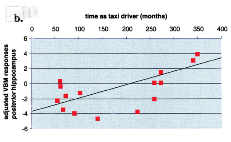 随着时间推移，检测到的前海马体大小呈现增大趋势