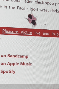 这种还是建议开除桌宠籍