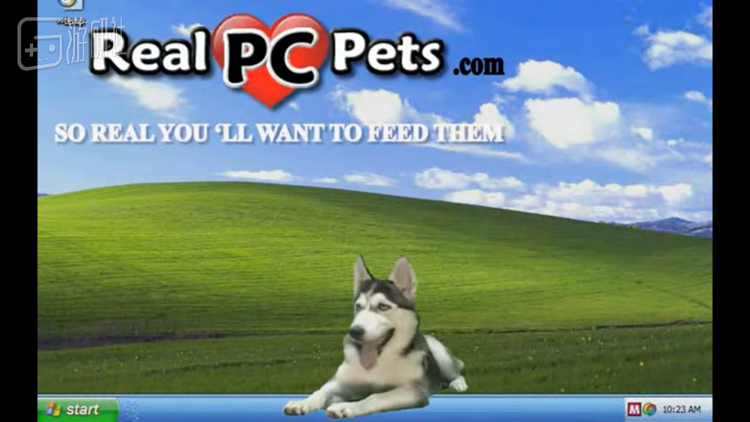 蓝天白云和狗狗，俨然一个温馨农家乐