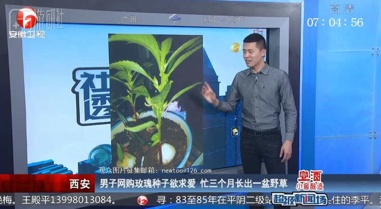 主持人都蚌埠住了