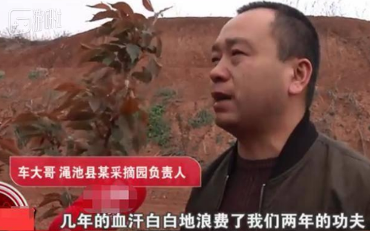 一字之差代价也太大了