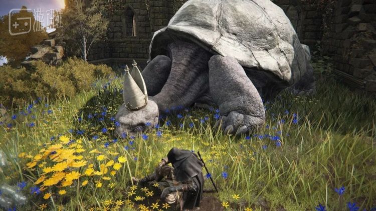 “龟学派”，主要风格是和谐