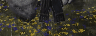 胸怀天下的乌龟老师