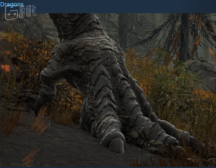 龙爪（可能因为看起来像鸡脚所以就入选了）