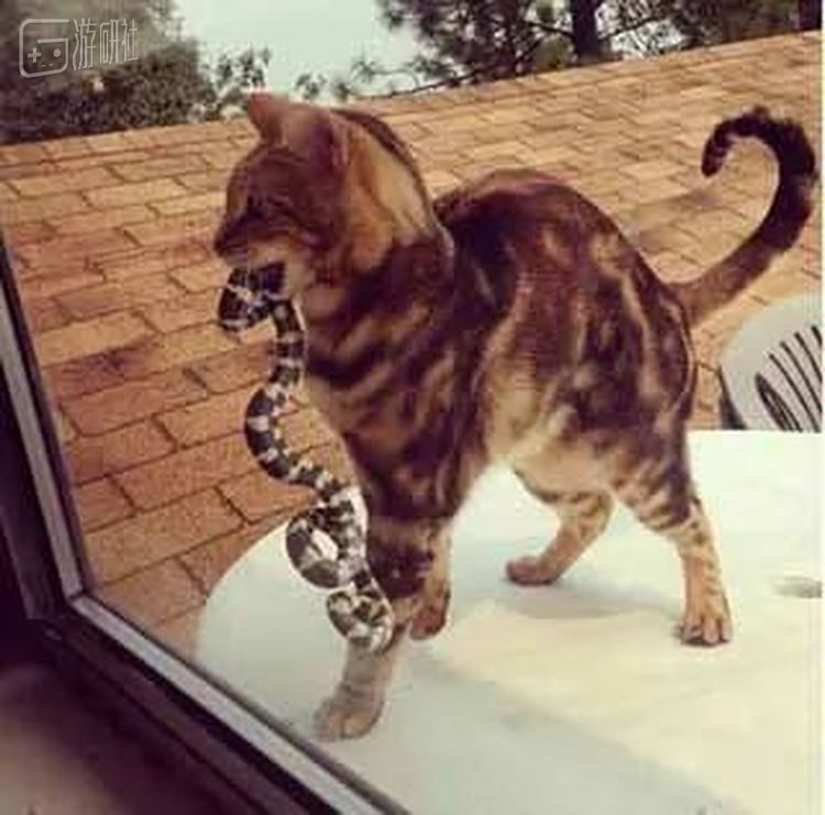 但谁敢开窗呢？