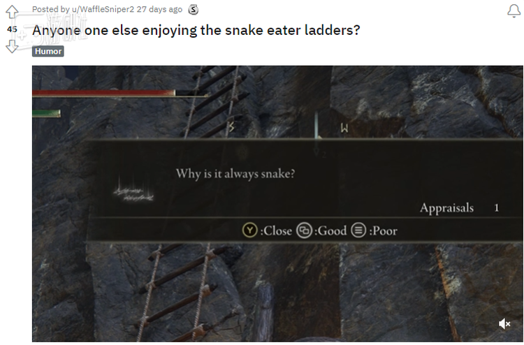 “为什么总是蛇”