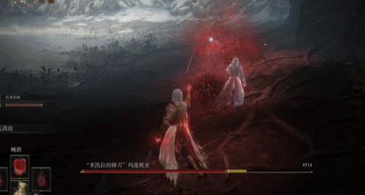 能让女武神使不出水鸟的血蝇祷告就是其中之一