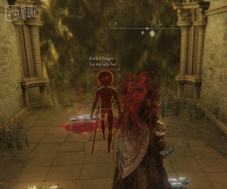 事件早期野生壶头哥珍贵影像