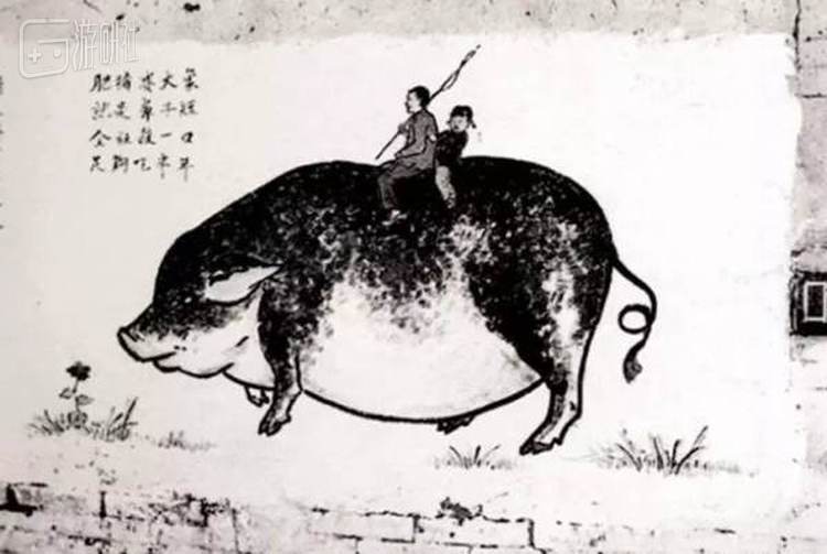 对照一下&ldquo;现实&rdquo;中的肥猪
