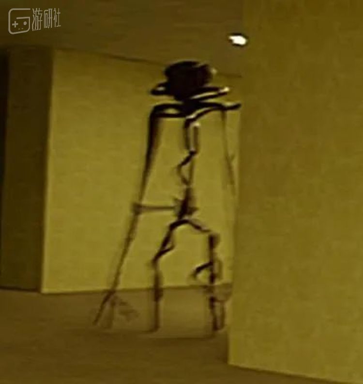 后室中的不明生物“实体”