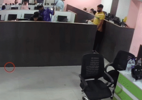 dc125ae5a51eda0e623363afb137a1da.gif_mw6