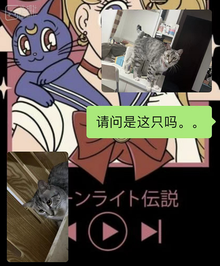 很难分辨出他的表情是何含义