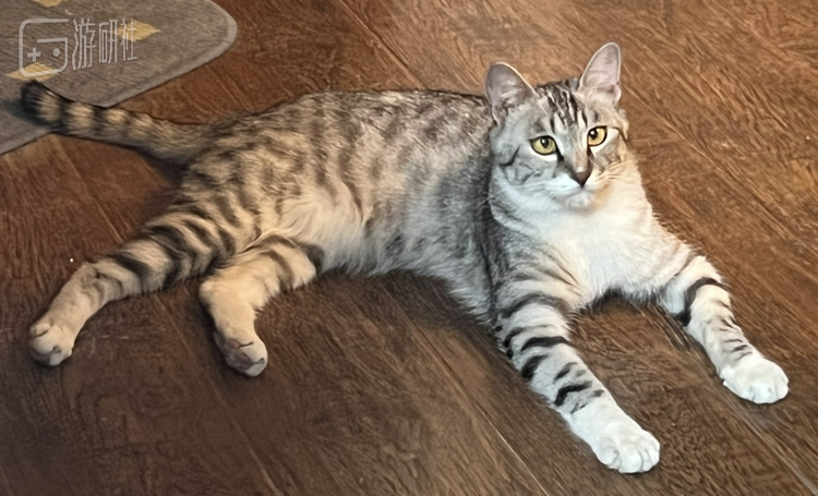 “下次还敢捏”