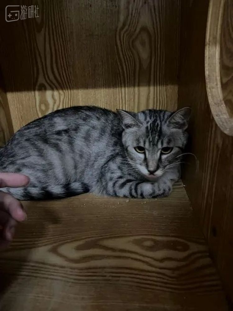 “怎么还不来接你爹我？”