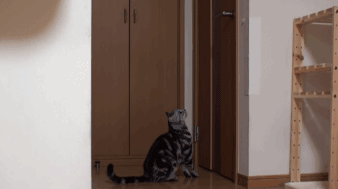 图片来自《开锁记2》