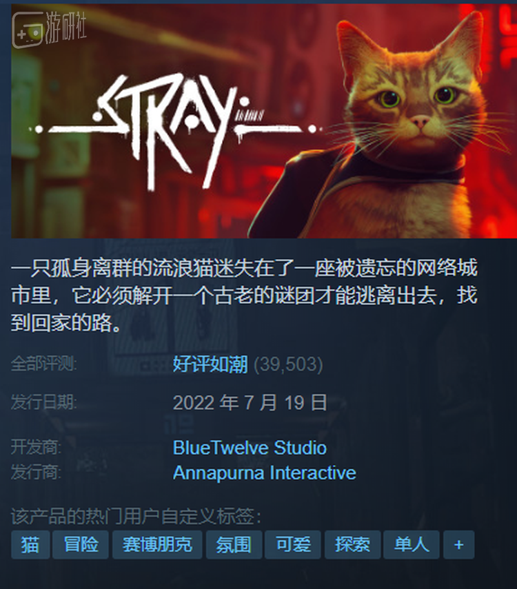 可爱猫猫变成 奇行种 Stray 已经被mod作者玩坏了 纳闻