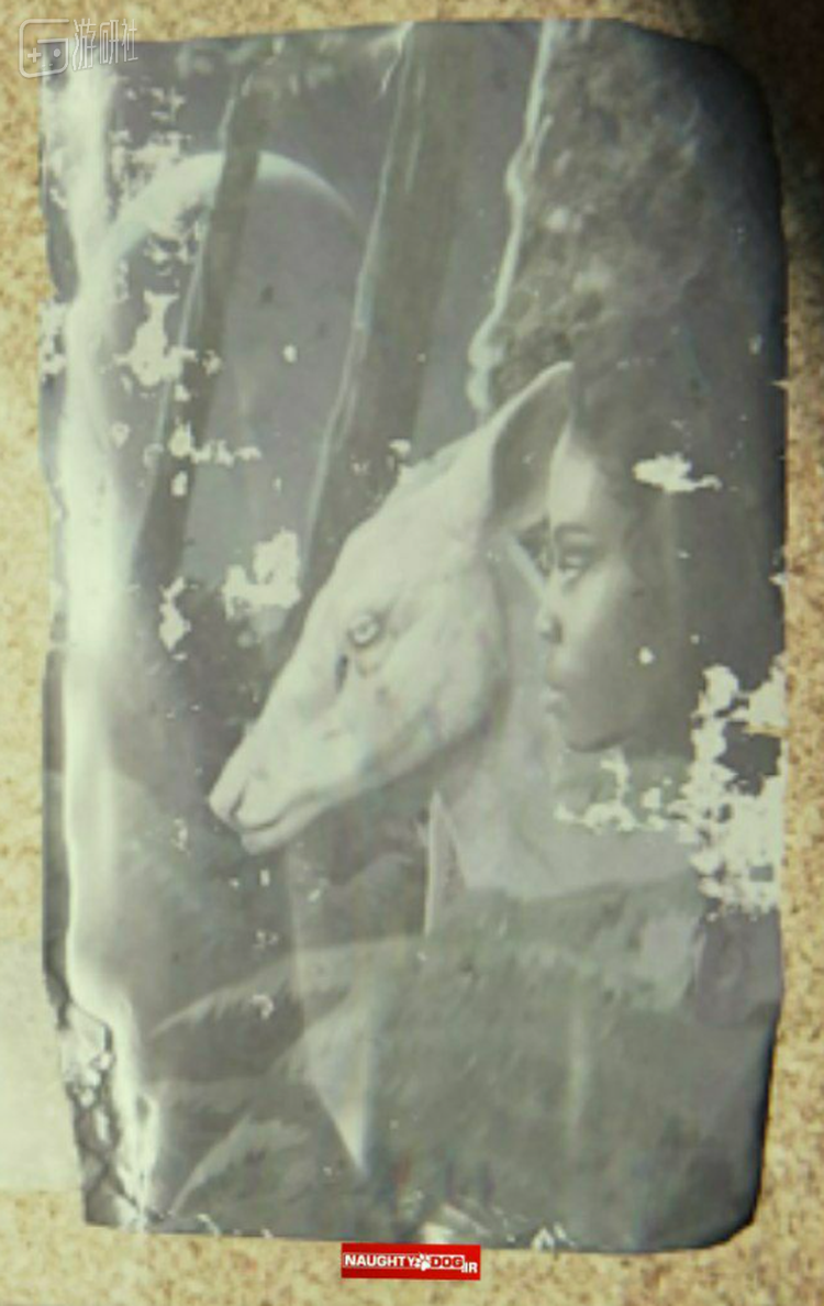 来自推特账号@Naughty Dog Central