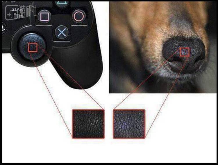 除了&ldquo;蘑菇说&rdquo;，还有&ldquo;摇杆的材质是狗鼻子&rdquo;的说法，大家看着笑笑就好