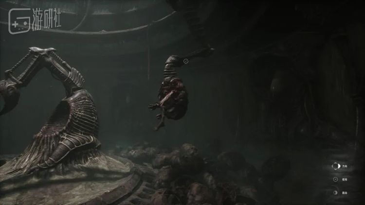 虽然他们的功能并不会一一对应参考物