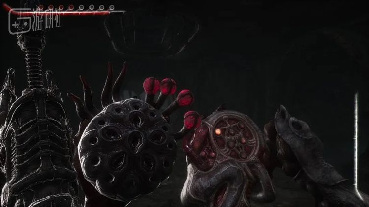 通过某种寄生的方式，主角用四只手携带多种道具也得以自洽