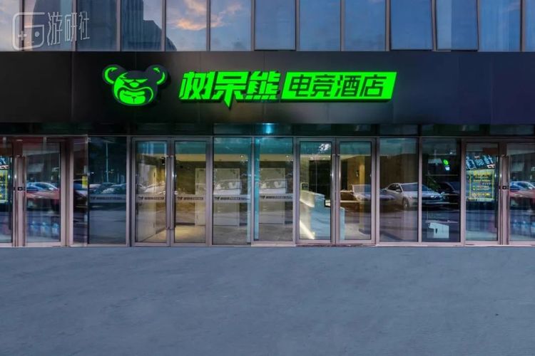 全国共两百多家门店的树呆熊，在国内已是一个不小的网吧品牌