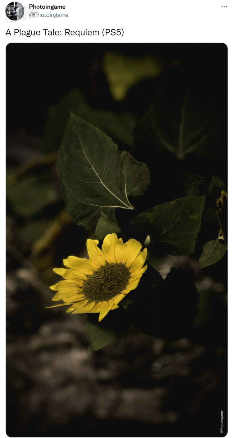 玩家用PS5在游戏摄影模式下拍出的场景照片